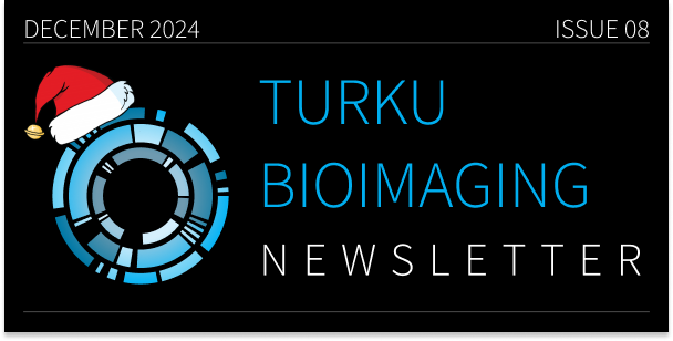 TBI Newsletter – December 2024