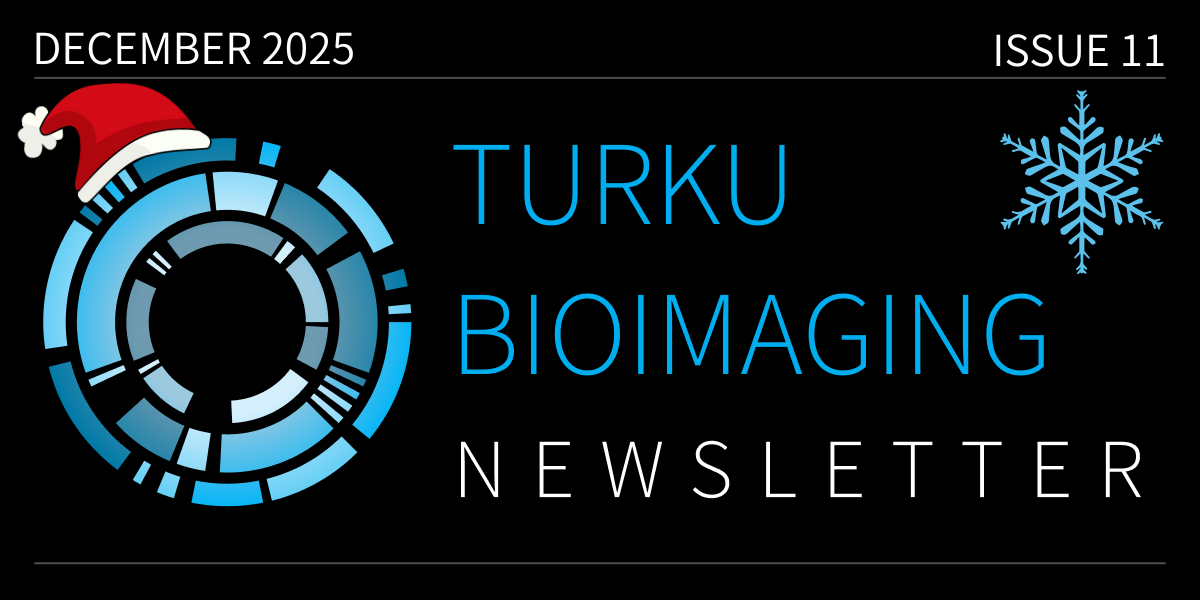 TBI_Newsletter_logo